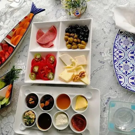 Bed and Breakfast Oliva Butik Konacik