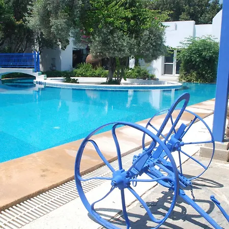 Bed and Breakfast Oliva Butik