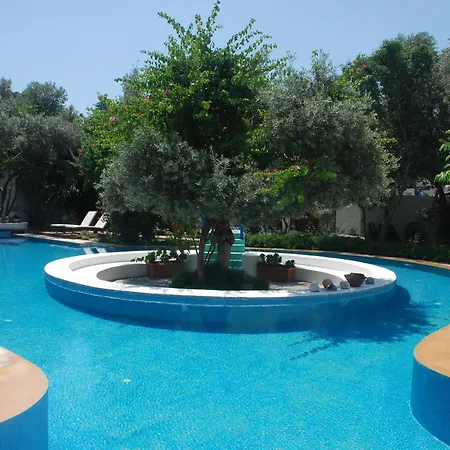 Oliva Butik Bed and Breakfast