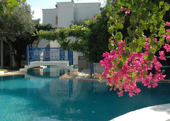 Oliva Butik B&B