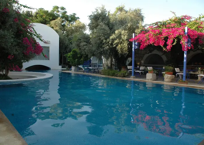 Oliva Butik B&B