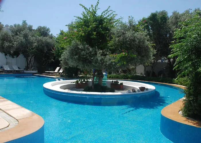 Oliva Butik B&B
