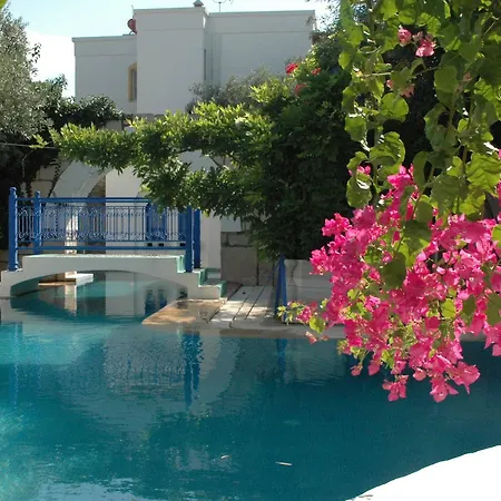 Oliva Butik ベッド・アンド・ブレックファスト